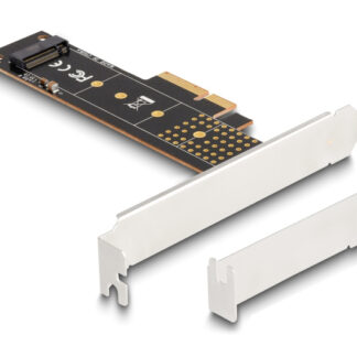 DELOCK κάρτα επέκτασης PCIe x4 σε M.2 M Key 110mm 89836
